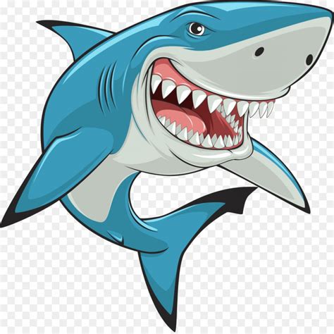 clip art shark